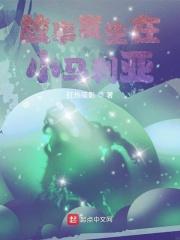 亮剑之老李是学霸