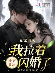 男主叫叶宁