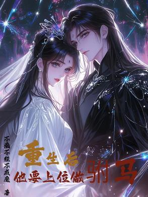 重生后，他要上位做驸马